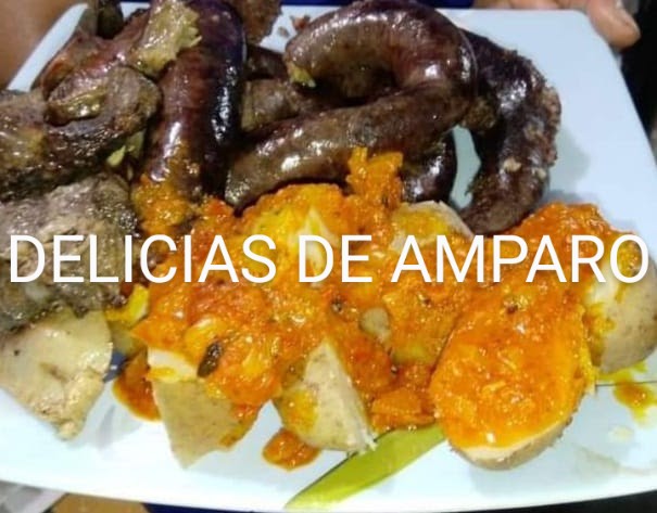 DELICIAS DE AMPARO